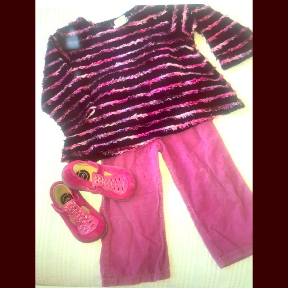 24m Cachcach top & 2T Painting Red Rhinos pants